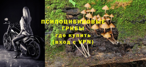 МДМА Белокуриха