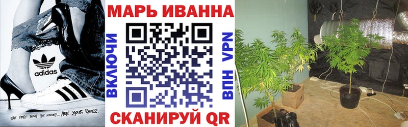 omg онион  Можга  Бошки Шишки тримм 